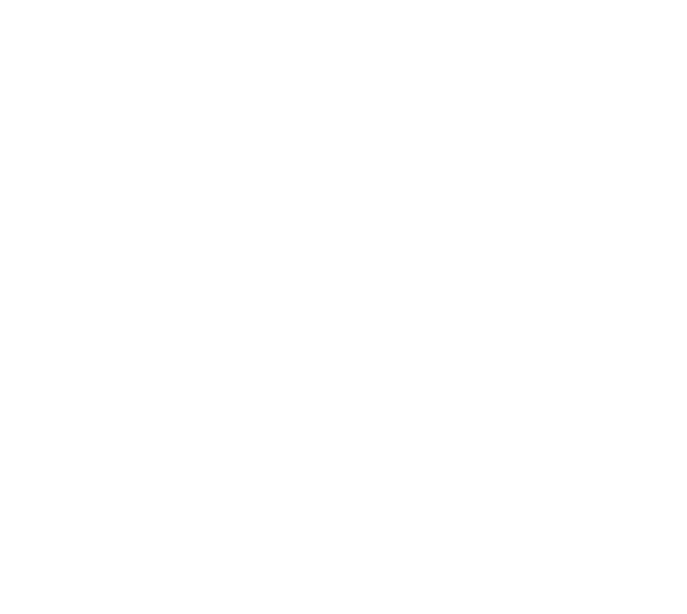 FishNet Network
