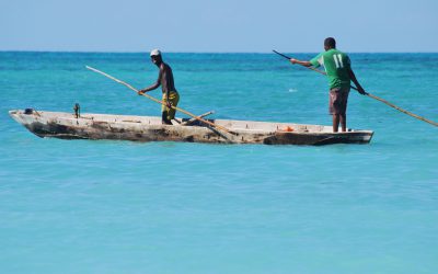 Fishing in the Midst of the COVID-19 Pandemic – Stakeholders Call for Just Recovery