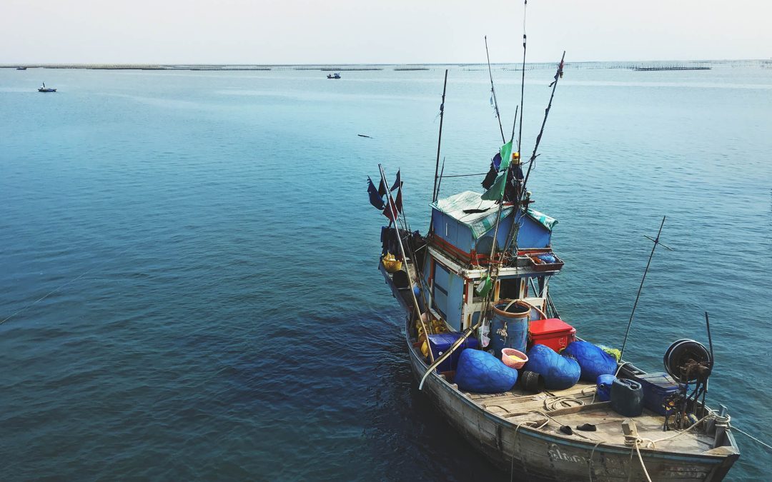 An Open Letter to Leaders on World Fisheries Day