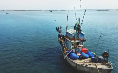 An Open Letter to Leaders on World Fisheries Day